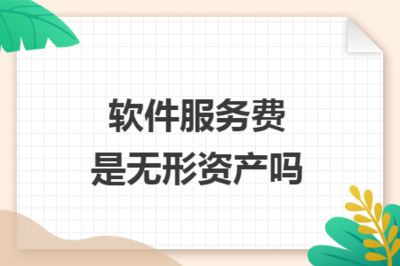 軟件服務(wù)費(fèi)與無(wú)形資產(chǎn) 概念辨析與會(huì)計(jì)處理