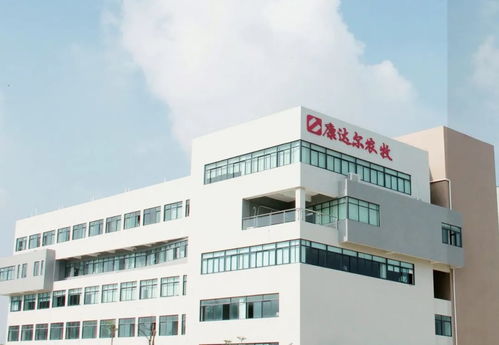 五年四換會計師事務所，康達爾信披違規背后的轉型焦慮